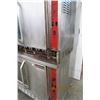Image 4 : Tri Star Gas Double Stack Convection Oven