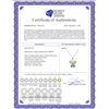 Image 2 : Genuine 0.60 ctw Peridot & Blue Topaz Necklace 14KT White Gold - REF-23P5H