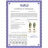 Image 2 : Genuine 9.3 ctw Sapphire & Pearl Earrings 14KT Yellow Gold - REF-46H2X