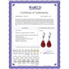 Image 2 : Genuine 16 ctw Ruby Earrings 14KT Rose Gold - REF-85R2P