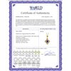 Image 2 : Genuine 0.55 ctw Amethyst Necklace 14KT Yellow Gold - REF-23P6H