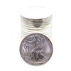 Image 1 : Roll of (20) Brilliant Uncirculated 2009 $1 American Silver Eagle Coins
