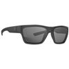 Image 1 : MAGPUL PIVOT BLK FRM GRAY LENS