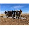 Image 7 : Texas Sandhill Crane Hunt