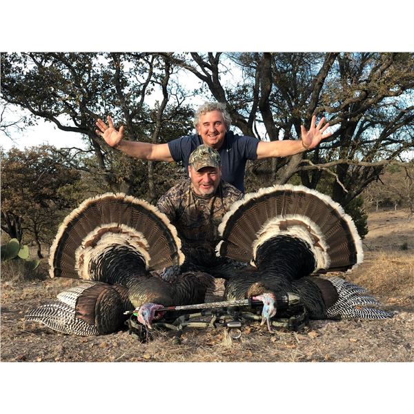 Mexican Gould's Turkey Hunt