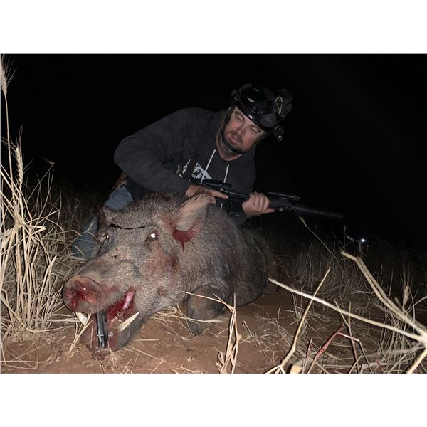 Texas Hog Hunt