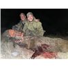 Image 5 : Texas Hog Hunt