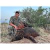 Image 9 : Texas Hog Hunt