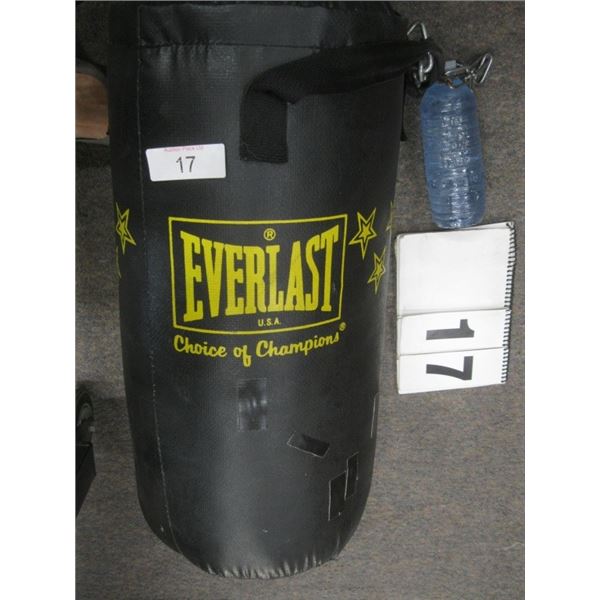 Everlast Punching Bag