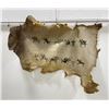 Painted Winter Count Native American Indian Hide
