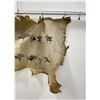 Image 4 : Painted Winter Count Native American Indian Hide