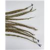 Image 8 : Group of Native American Indian Sweetgrass