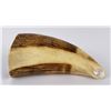 Image 6 : Antique Eskimo Inuit Scrimshaw Whale Tooth