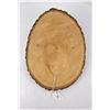 Image 4 : Hopi Indian Kachina Plaque Yungotsuna