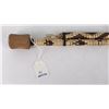 Image 2 : South American Blowgun