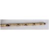 Image 4 : South American Blowgun