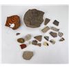Image 1 : Collection of Prehistoric Indian Pot Shards