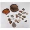 Image 4 : Collection of Prehistoric Indian Pot Shards