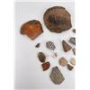 Image 5 : Collection of Prehistoric Indian Pot Shards