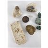 Image 5 : Collection of Mineral Fossil Specimens