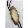 Image 3 : Alaskan Eskimo Inuit Fossil Walrus Bolo Tie