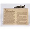 Image 8 : Philip R Goodwin Lynx Bronze