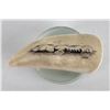 Antique Eskimo Inuit Scrimshaw Whale Tooth