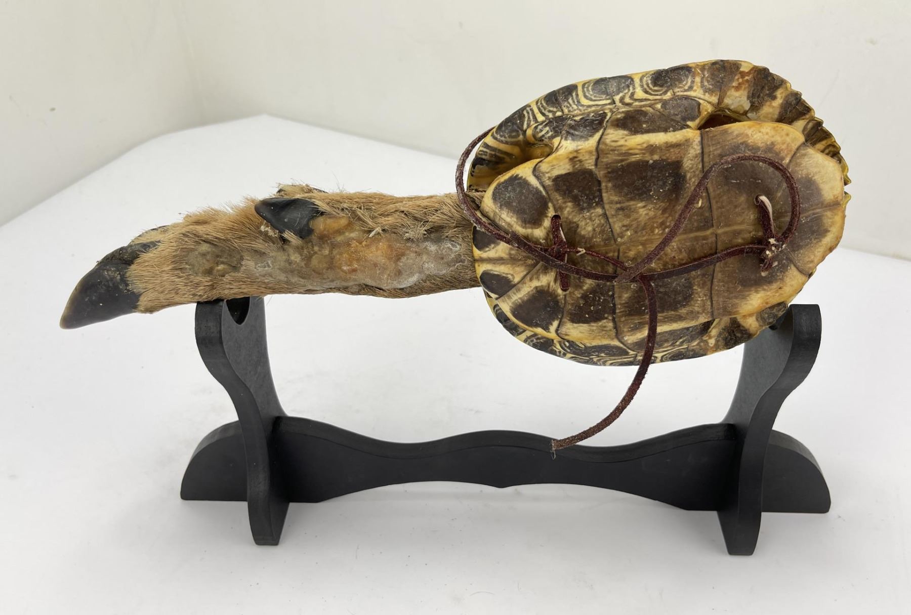 Native American Indian Turtle Rattle