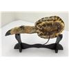 Image 2 : Native American Indian Turtle Rattle