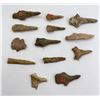Ancient Indian Artifact Arrowheads Points Drills
