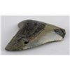 Image 2 : South Carolina Megalodon Shark Tooth Fossil