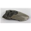 Image 2 : South Carolina Megalodon Shark Tooth Fossil