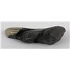 Image 2 : South Carolina Megalodon Shark Tooth Fossil