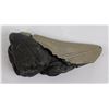 Image 3 : South Carolina Megalodon Shark Tooth Fossil