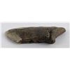 Image 2 : South Carolina Megalodon Shark Tooth Fossil