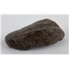 Image 5 : South Carolina Whale Ear Bone Fossil