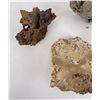 Image 2 : Assorted Mineral Specimen Collection