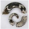 Image 2 : Fossil Ammonite