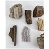Image 8 : Assorted Mineral Specimens and Petrified Wood