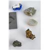 Image 8 : Fossil and Mineral Specimens