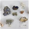 Image 9 : Assorted Mineral Specimen Collection