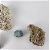 Image 3 : Assorted Mineral Specimen Collection