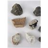 Image 2 : Assorted Mineral Specimen Collection