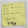 Image 8 : Bornite Level Mountain Mine Butte Montana