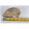 Image 7 : Beryl Crystals Eckers Ranch Utah