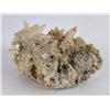 Image 2 : Quartz Trixie Mine Utah