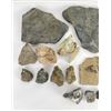 Image 2 : Assorted Mineral Specimen Collection