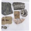 Image 3 : Assorted Mineral Specimen Collection