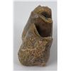 Image 2 : Ancient Fossil Tooth