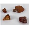 Image 2 : Group of Amber from Denmark
